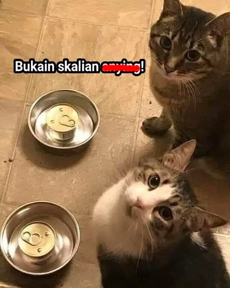 kasih makan hewan © Berbagai Sumber