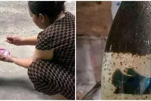 10 Aksi nyeleneh orang kasih makan hewan ini bikin tepuk jidat