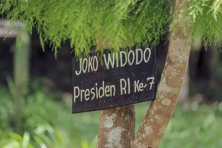 Destinasi wisata di Danau Toba © 2021 brilio.net