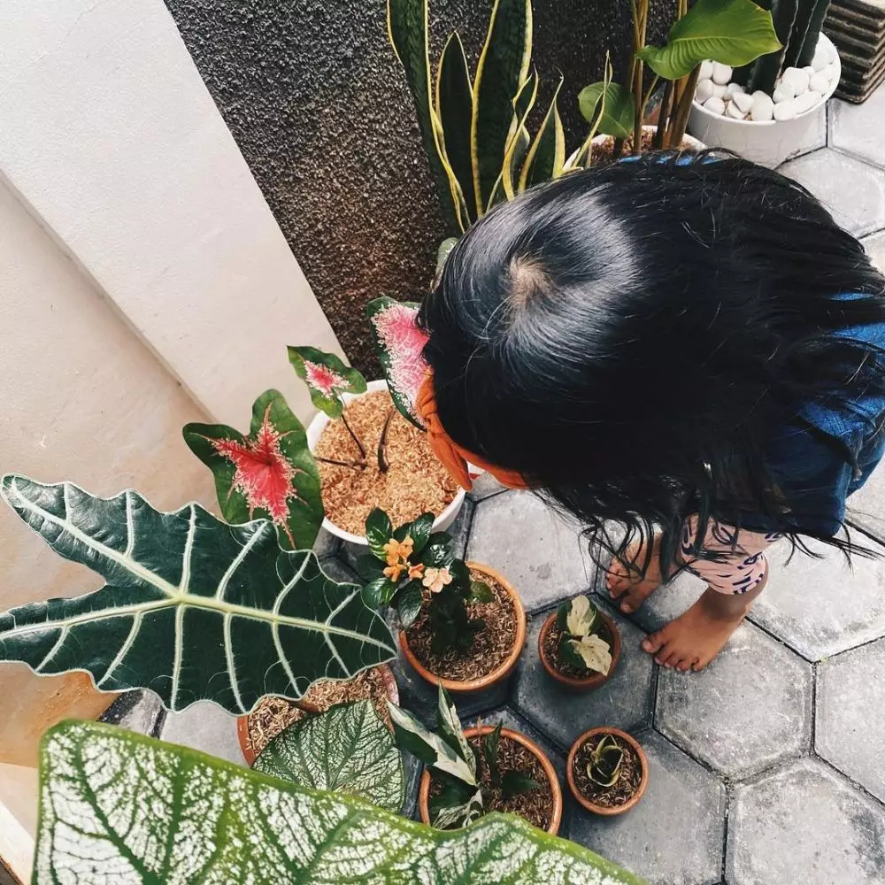 penampakan rumah ricky harun © berbagai sumber penampakan rumah ricky harun © berbagai sumber
