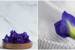 7 Manfaat bunga telang, bisa mengatasi stres