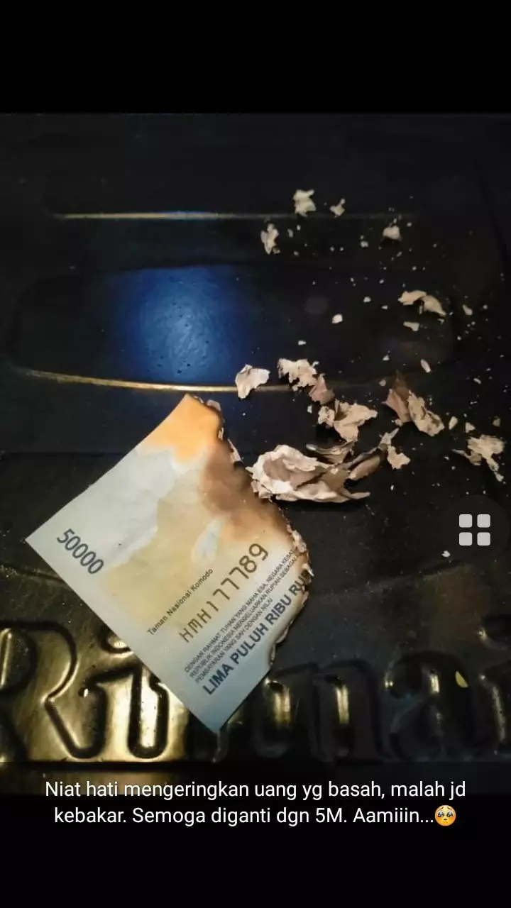 Status WA apes © Twitter