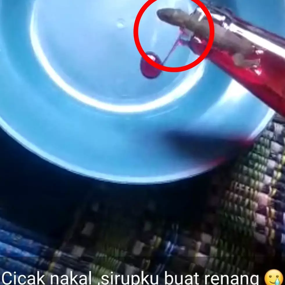 10 Status WhatsApp lucu pamer keapesan, mau ketawa tapi nggak tega