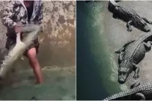 Viral pemuda nyemplung kolam buaya dengan santai, bikin ngeri