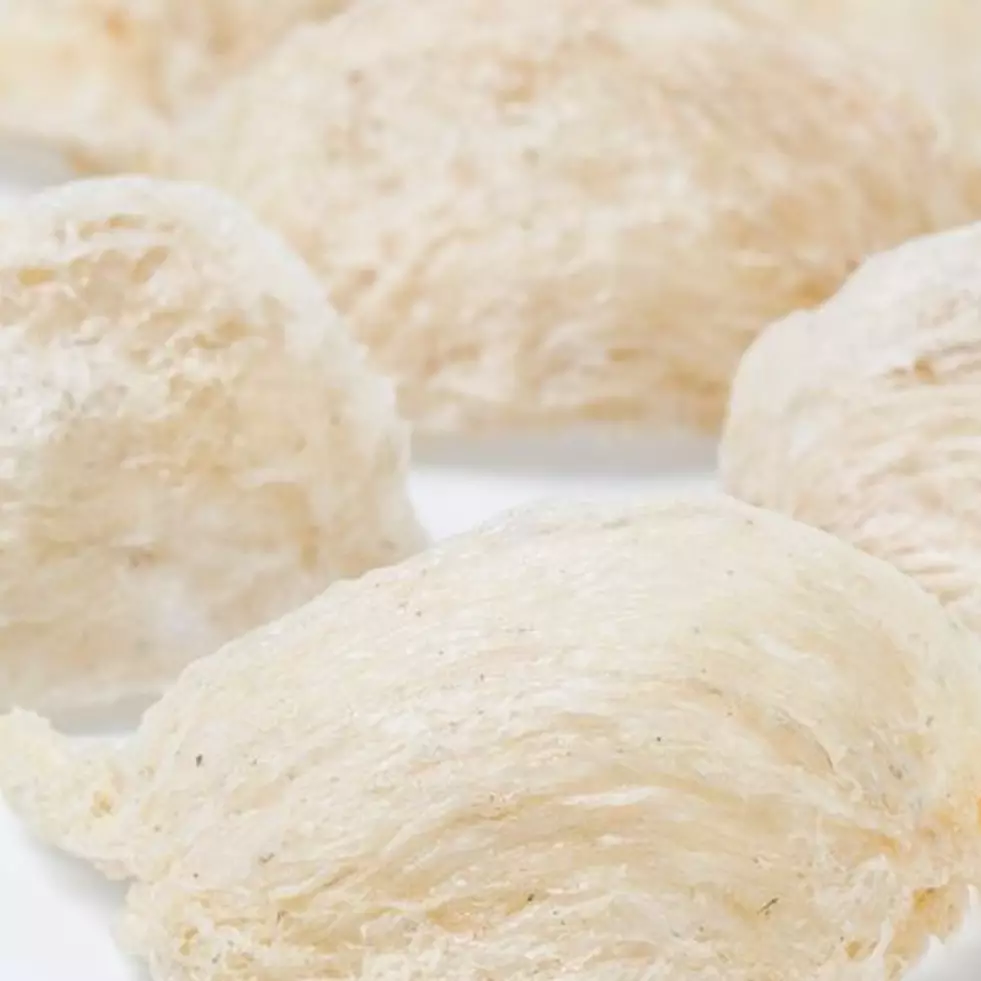 Harganya bikin melongo, ini 8 manfaat sarang burung walet