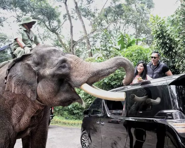 keluarga besar SBY liburan di hutan Instagram