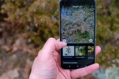 Reno5F hack istimewa Reno5F hack istimewa