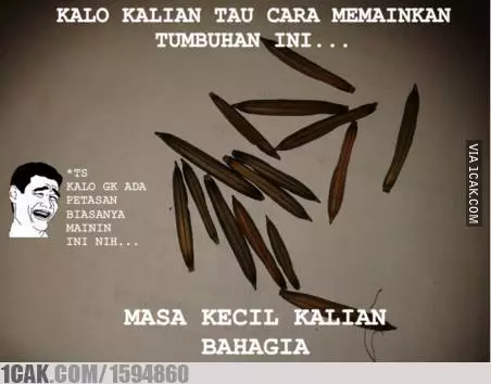 petasan ala warganet © 1cak.com petasan ala warganet © 1cak.com