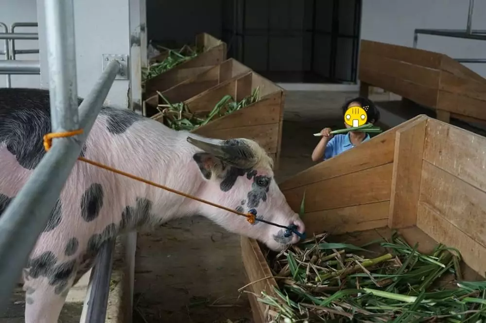 Momen liburan seru Widi Mulia dan keluarga di Bogor © 2021 brilio.net Momen liburan seru Widi Mulia dan keluarga di Bogor © 2021 brilio.net