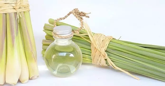 Manfaat minyak rempah khas Indonesia © 2021 brilio.net