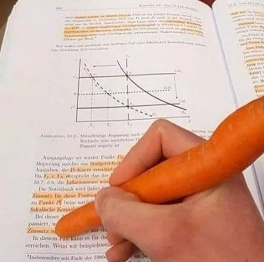 momen belajar tak terduga © Berbagai Sumber momen belajar tak terduga © Berbagai Sumber