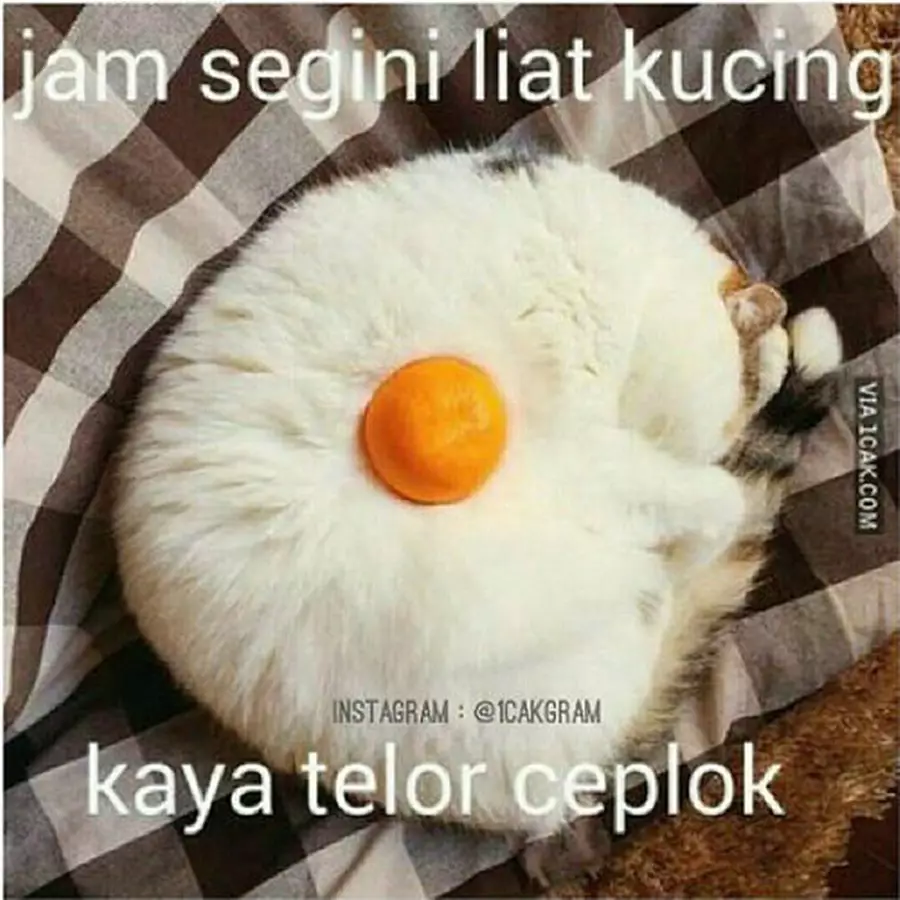 meme benda mirip makanan © Berbagai Sumber meme benda mirip makanan © Berbagai Sumber