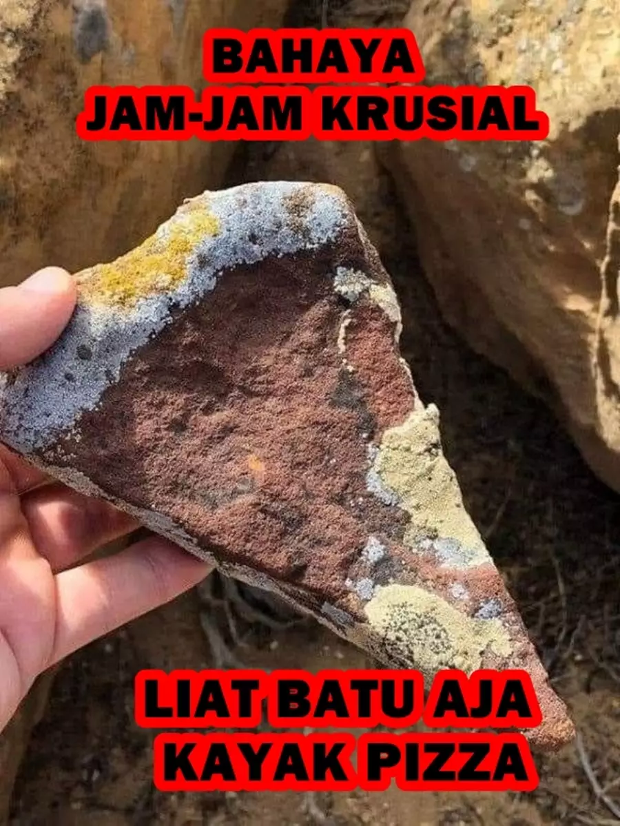 meme benda mirip makanan © Berbagai Sumber meme benda mirip makanan © Berbagai Sumber