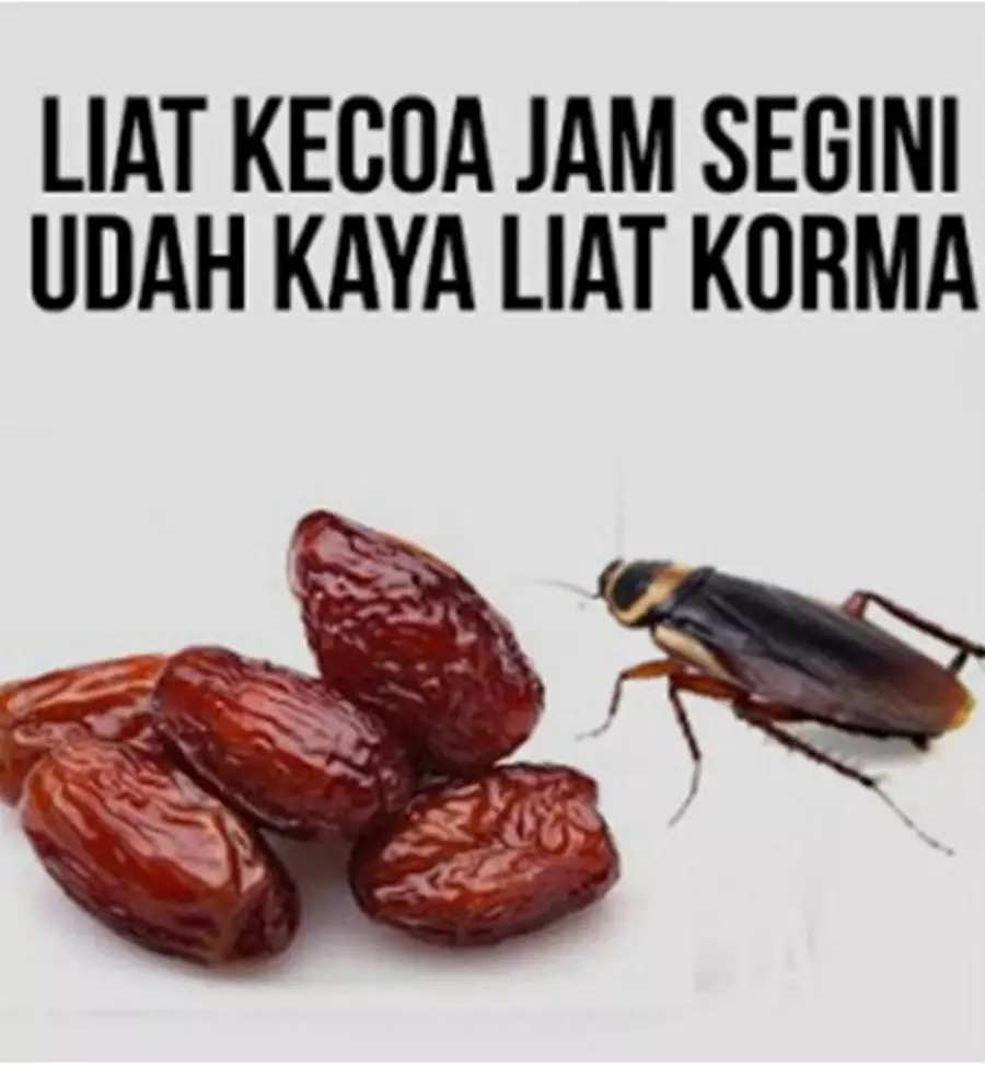 meme benda mirip makanan © Berbagai Sumber meme benda mirip makanan © Berbagai Sumber