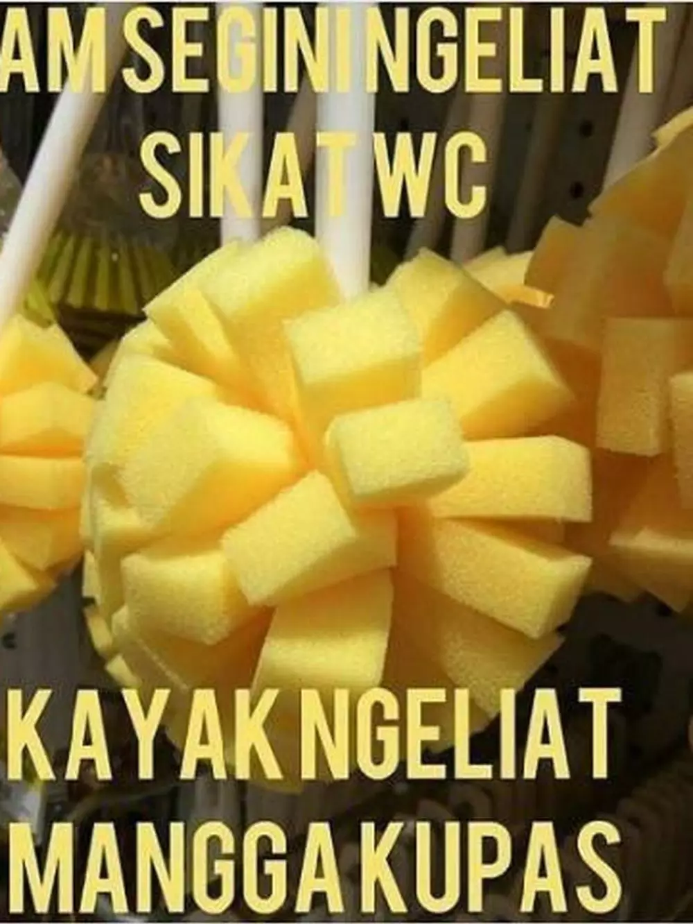 meme benda mirip makanan © Berbagai Sumber meme benda mirip makanan © Berbagai Sumber