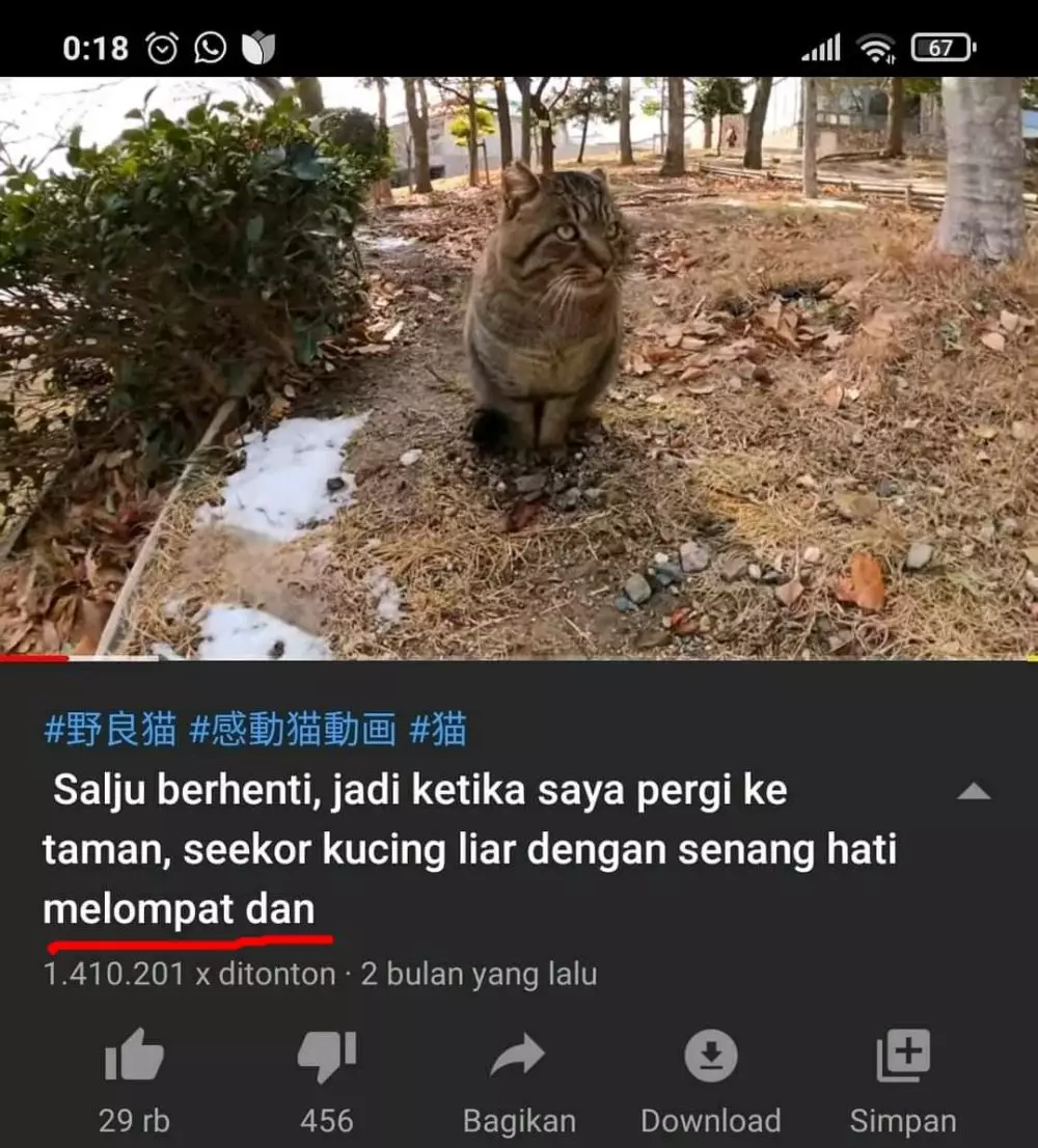 tulisan nanggung di tempat umum © Berbagai Sumber