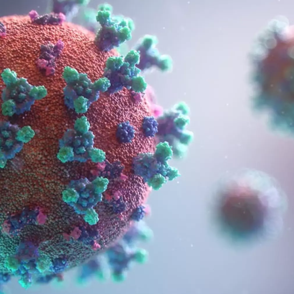 Satgas Covid-19 sebut kasus varian D614G ditemukan di Indonesia