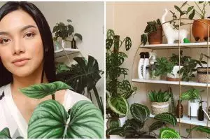 9 Penampakan kebun dalam rumah Angela Gilsha, asri dan bikin nyaman