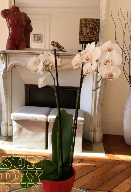 rumah Alyssa Daguise di paris © Instagram