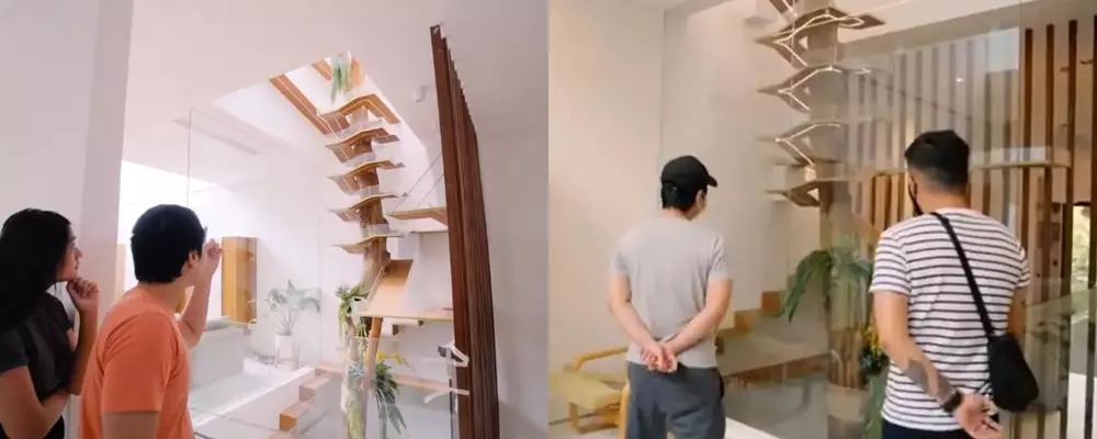 rumah kucing 8 seleb © YouTube