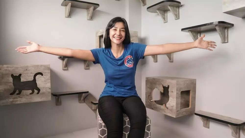 rumah kucing 8 seleb © Instagram