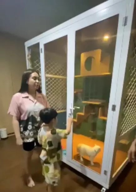 rumah kucing 8 seleb © Instagram