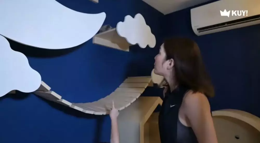 rumah kucing 8 seleb © YouTube