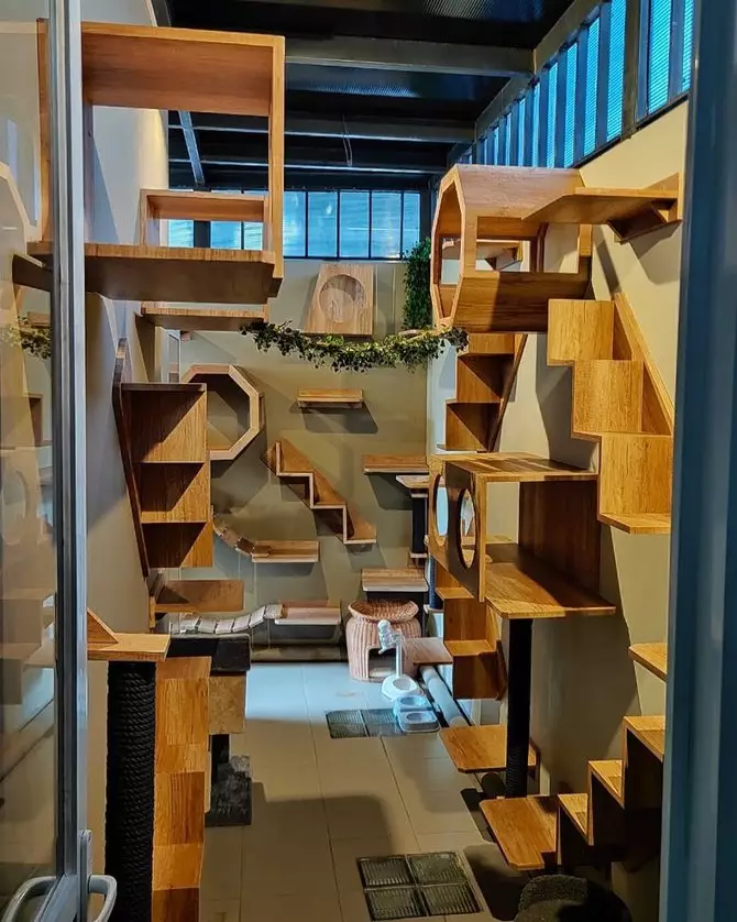 rumah kucing 8 seleb © Instagram