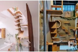 Potret rumah kucing milik 8 seleb, punya Gisel ada AC-nya