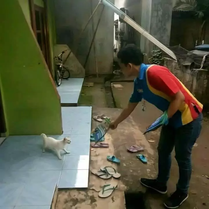 keanehan di foto © berbagai sumber