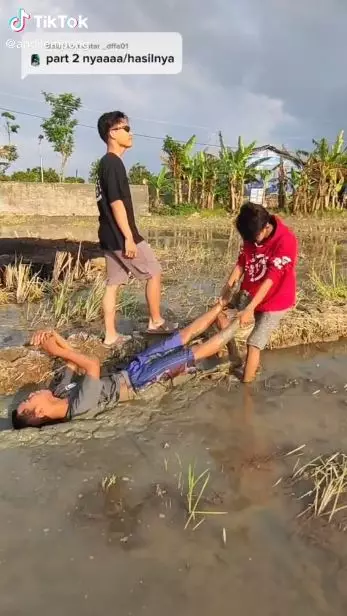 rekam video seret sawah Berbagai sumber