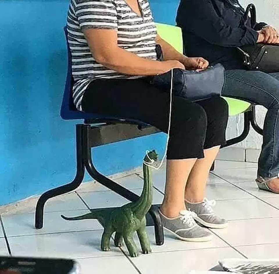 orang bawa binatang peliharaan © 2021 Instagram