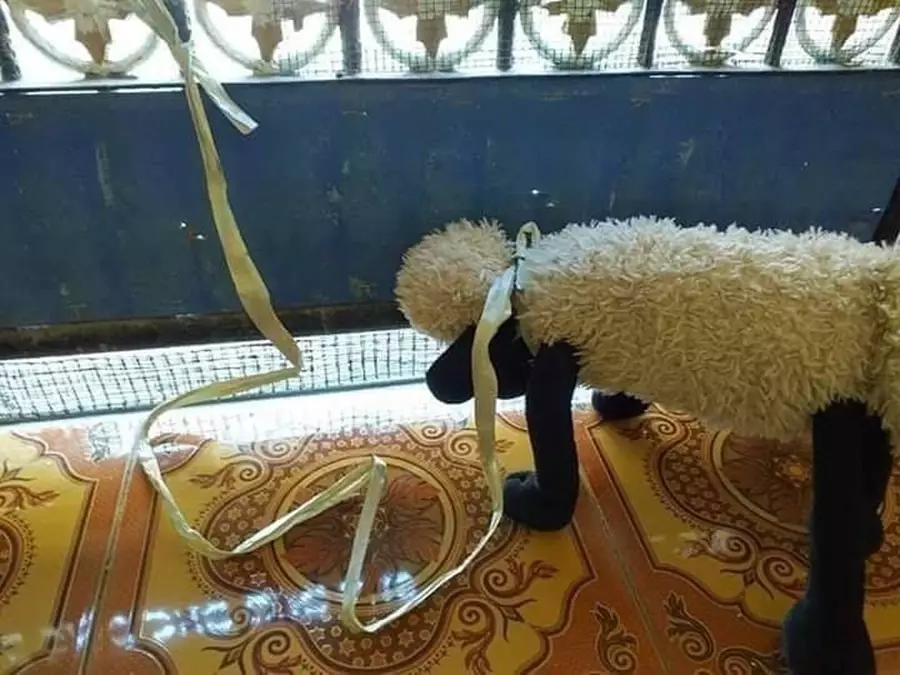 orang bawa binatang peliharaan © 2021 Instagram