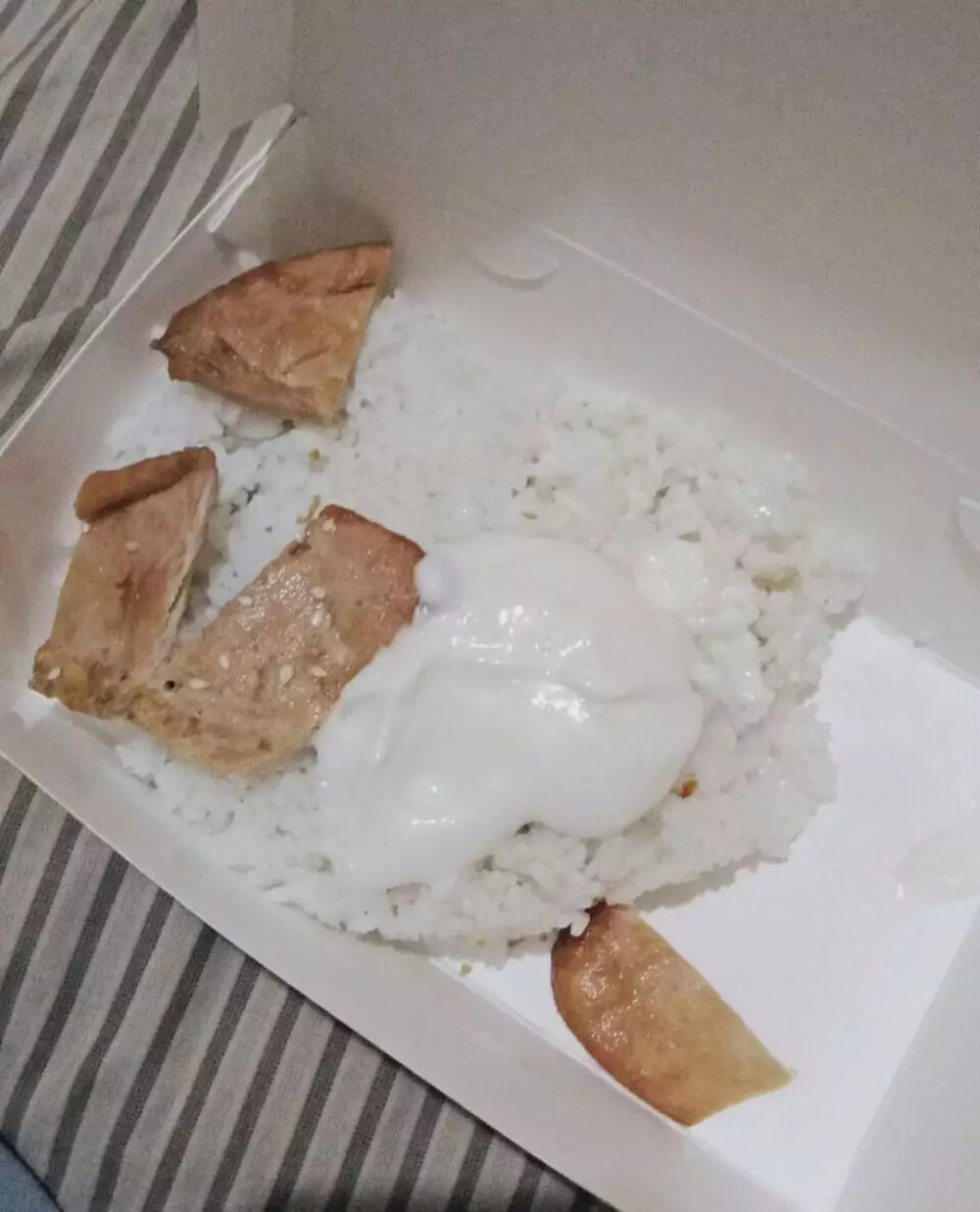 Potret lucu isi nasi kotak © berbagai sumber Potret lucu isi nasi kotak © berbagai sumber