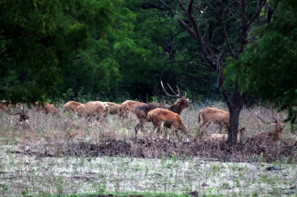 Hari Bumi 2021 © 2021 brilio.net