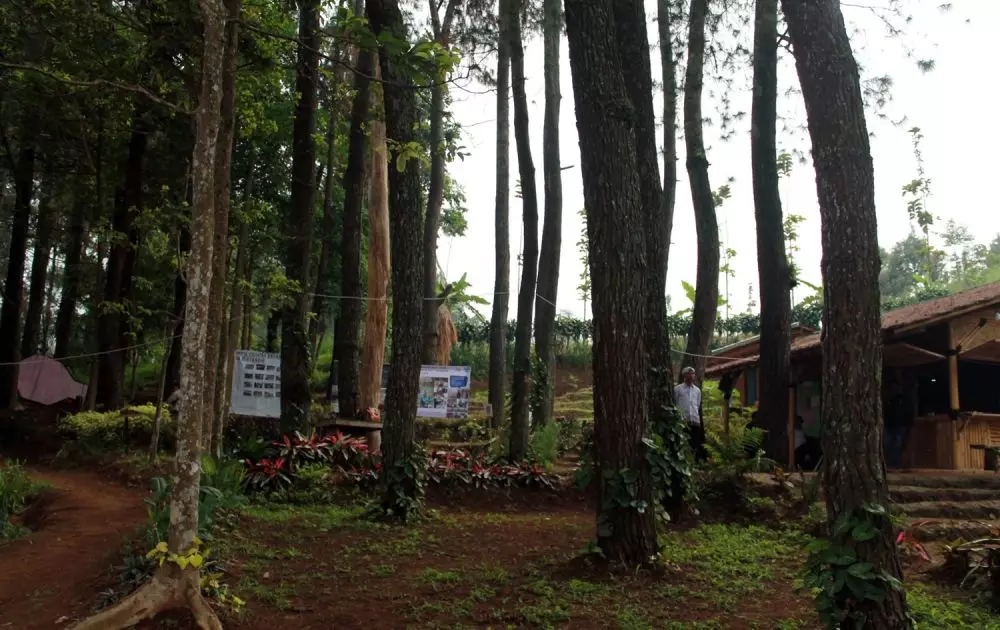 Hari Bumi 2021 © 2021 brilio.net