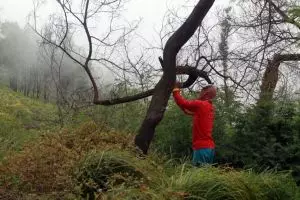 Peringati Hari Bumi 2021, pemerintah serukan pentingnya hutan sosial