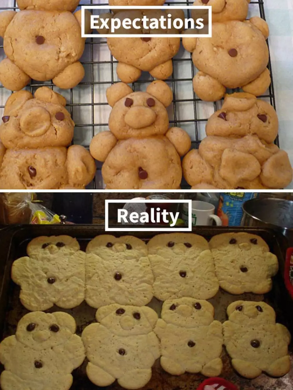 ekspektasi vs realita kue kering © 2021 berbagai sumber