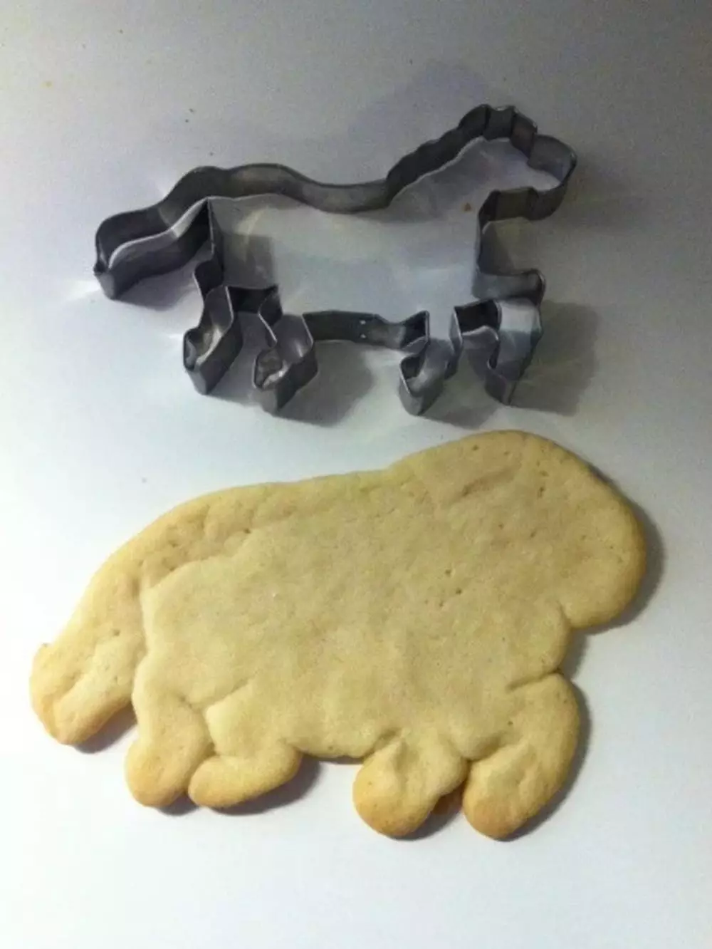 ekspektasi vs realita kue kering © 2021 berbagai sumber