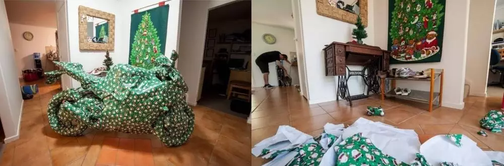 potret apes dapat hadiah © 2021 berbagai sumber