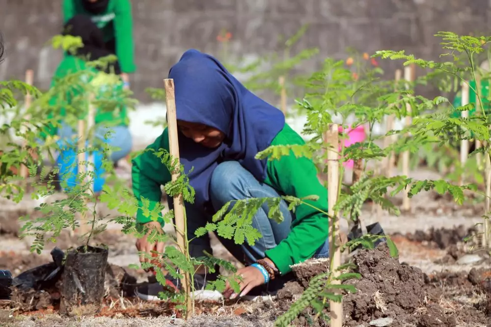 Teknologi hijau © 2021 brilio.net Teknologi hijau © 2021 brilio.net