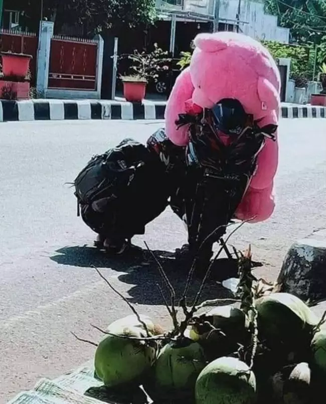 perjuangan cowok deketin cewek © 2021 berbagai sumber perjuangan cowok deketin cewek © 2021 berbagai sumber