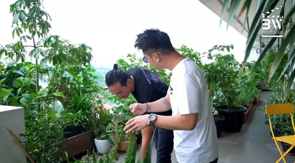 kebun apartemen daniel © YouTube kebun apartemen daniel © YouTube