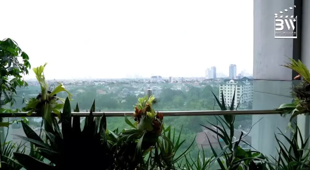 kebun apartemen daniel © YouTube kebun apartemen daniel © YouTube