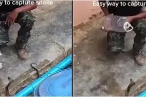 Viral video orang tangkap ular dengan botol, bikin tegang