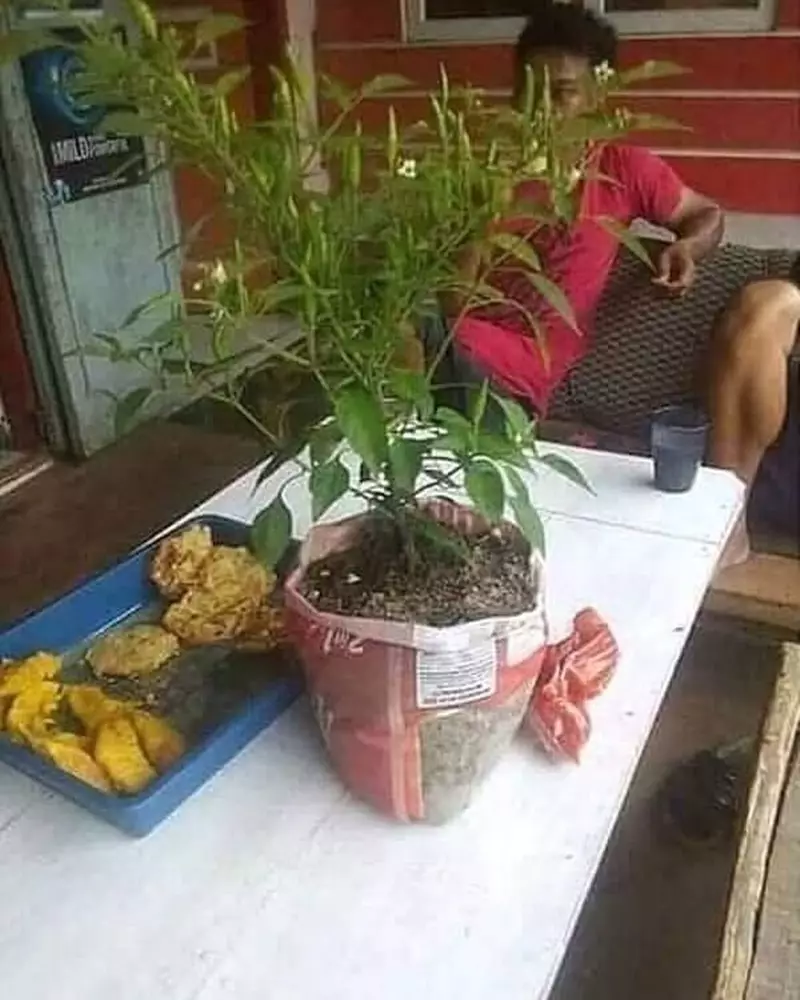 makan bareng-bareng © 2021 Instagram