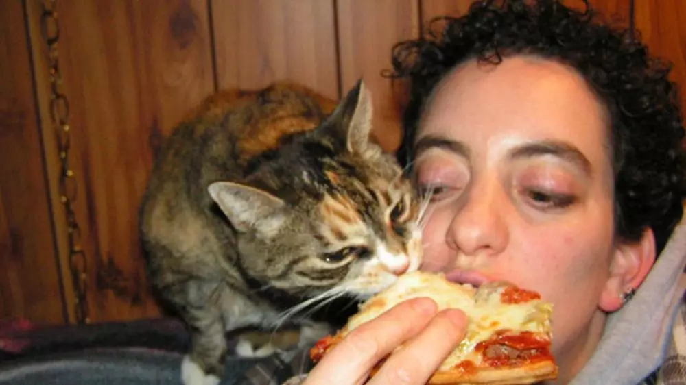 makan bareng kucing © 2021 berbagai sumber makan bareng kucing © 2021 berbagai sumber