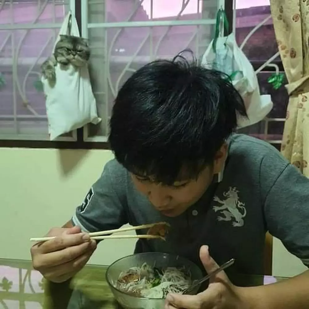 makan bareng kucing © 2021 berbagai sumber makan bareng kucing © 2021 berbagai sumber