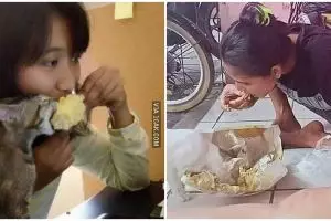 10 Momen lucu makan bareng kucing ini bikin tepuk jidat