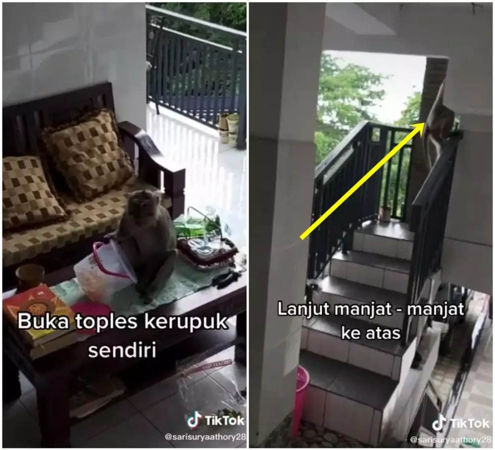 rumah didatangi tamu tak diundang © 2021 TikTok rumah didatangi tamu tak diundang © 2021 TikTok